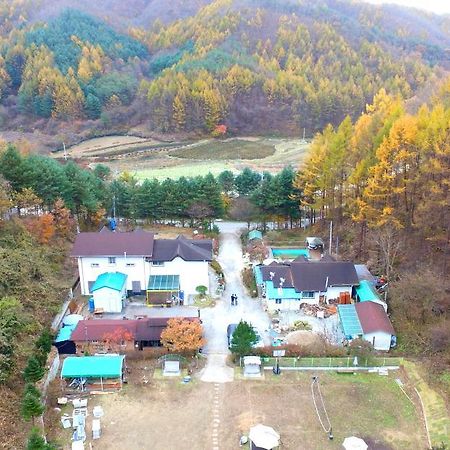 Pinearoma Pension Hongcheon Esterno foto