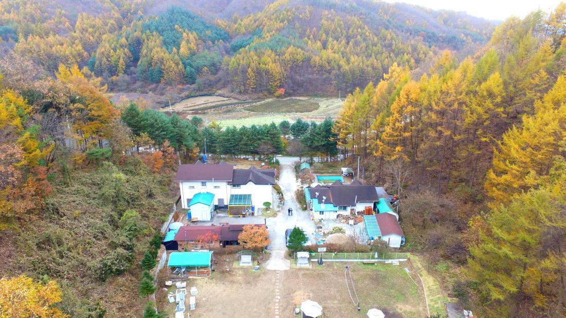Pinearoma Pension Hongcheon Esterno foto