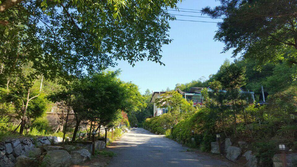 Pinearoma Pension Hongcheon Esterno foto
