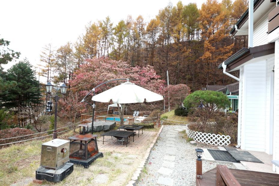 Pinearoma Pension Hongcheon Esterno foto